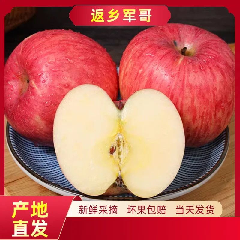 2024陕西白水红富士脆甜多汁不粉不面鲜果现采现发净果4.5斤起拍
