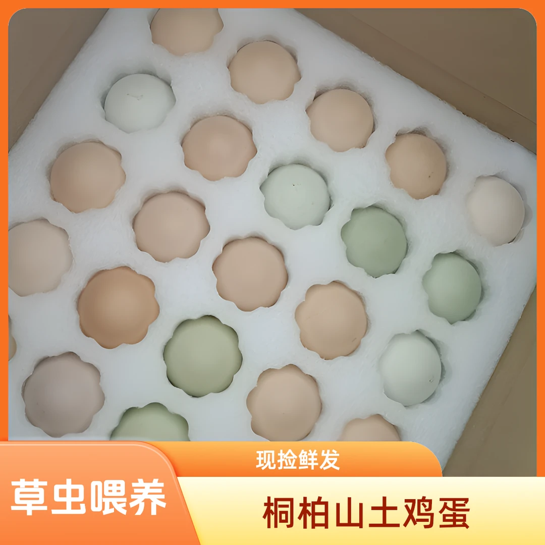 桐柏山散养土鸡蛋 现捡现发 草虫喂养