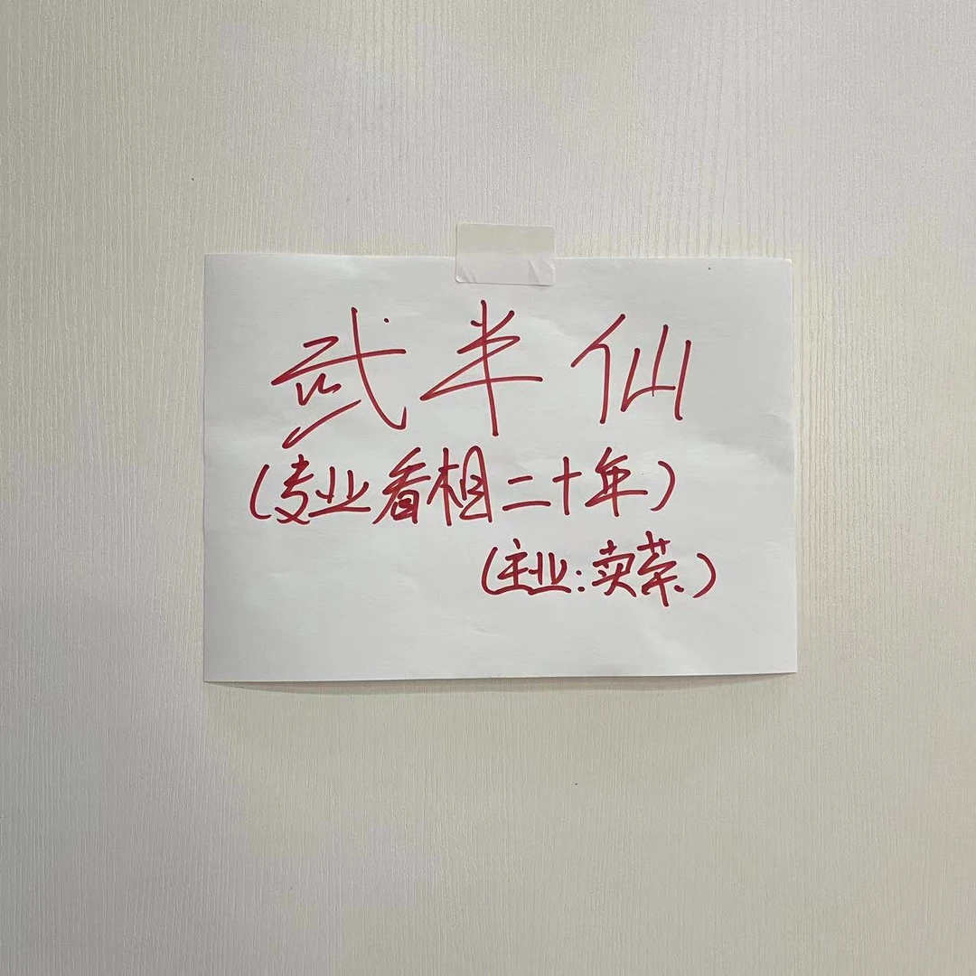 武大师 普洱茶 生茶