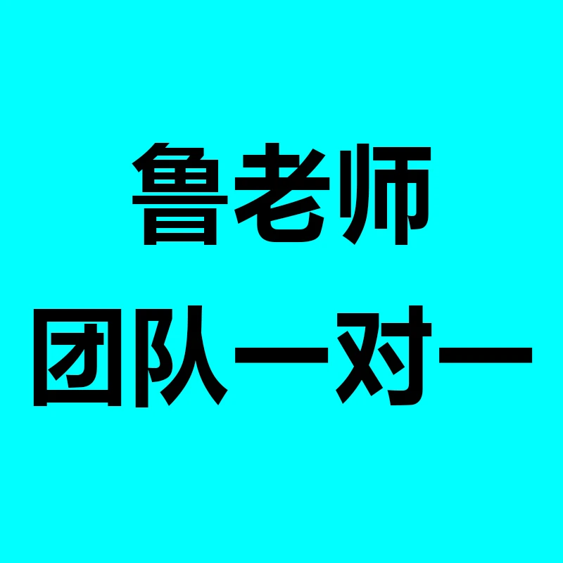 鲁老师家长指导营团队1V1