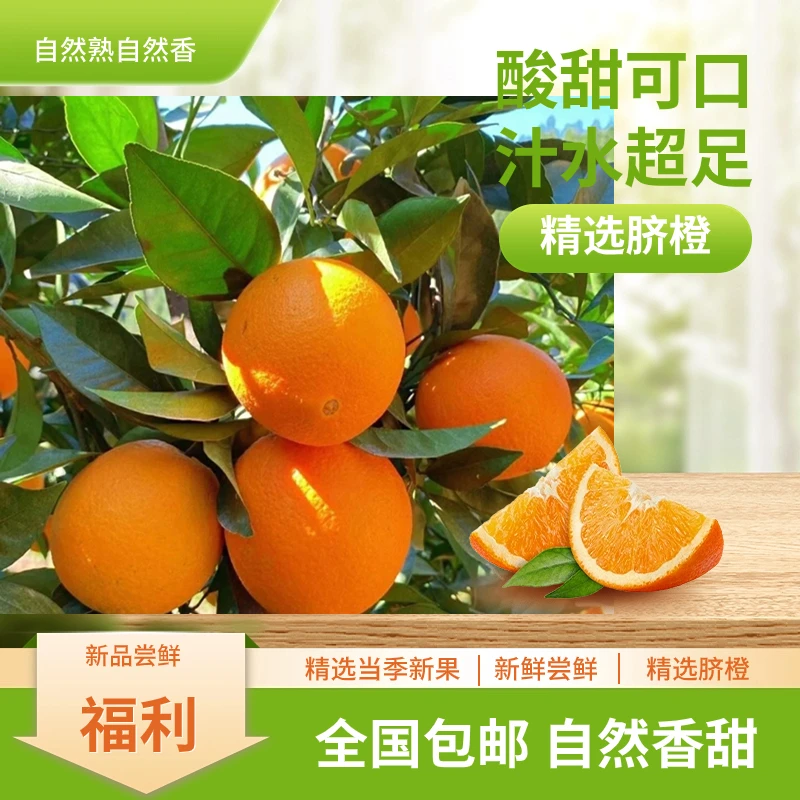 蜂蜜脐橙大果80mm-95mm的大脐橙10斤箱装。