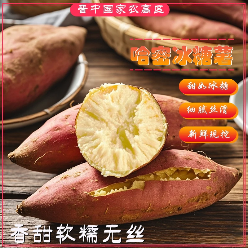 【农高晋品】哈密冰糖薯地瓜白薯五斤甜如冰糖软糯细腻丝滑新鲜现挖