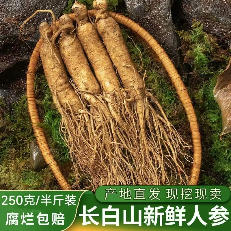 【2支】长白山新鲜人参 大人参 泡酒 煲汤 煮粥 包赔