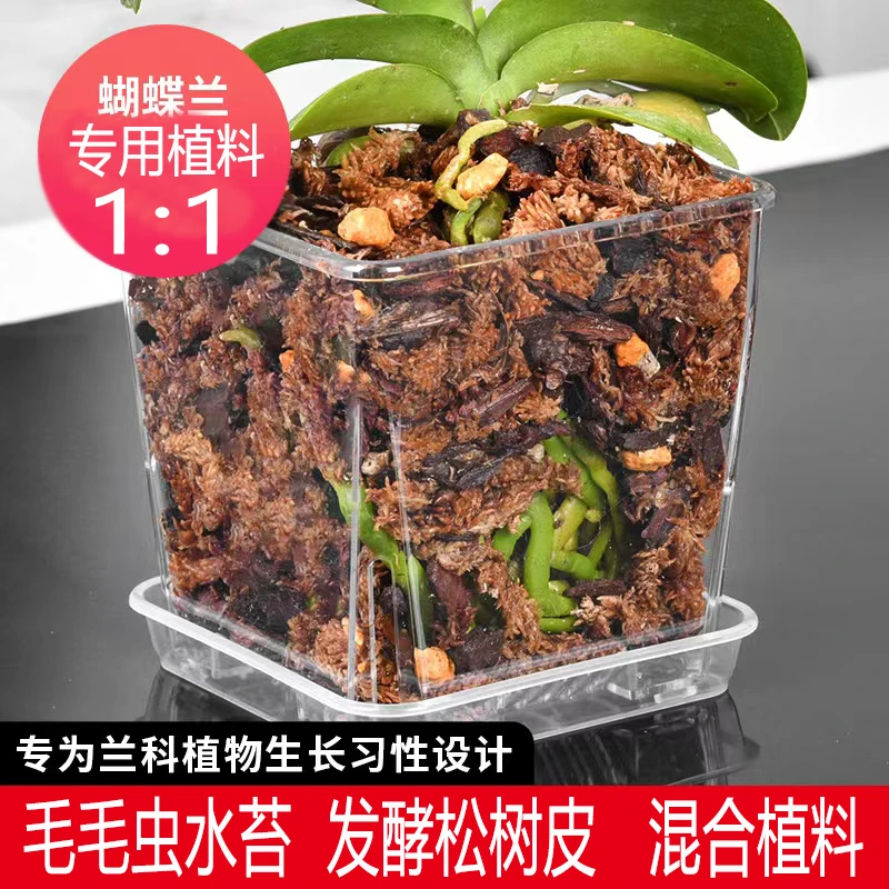 蝴蝶兰专用混合植料 毛毛虫水苔与发酵松树皮 兰花营养土发酵腐熟