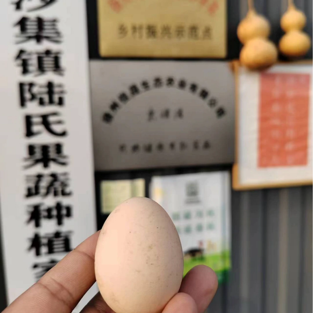 无花果园散养家禽（30枚鸡蛋）（无科技狠活）