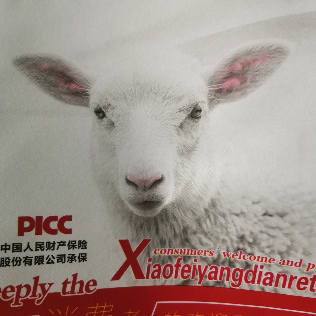 恩熙甄选防潮除螨双控电热毯