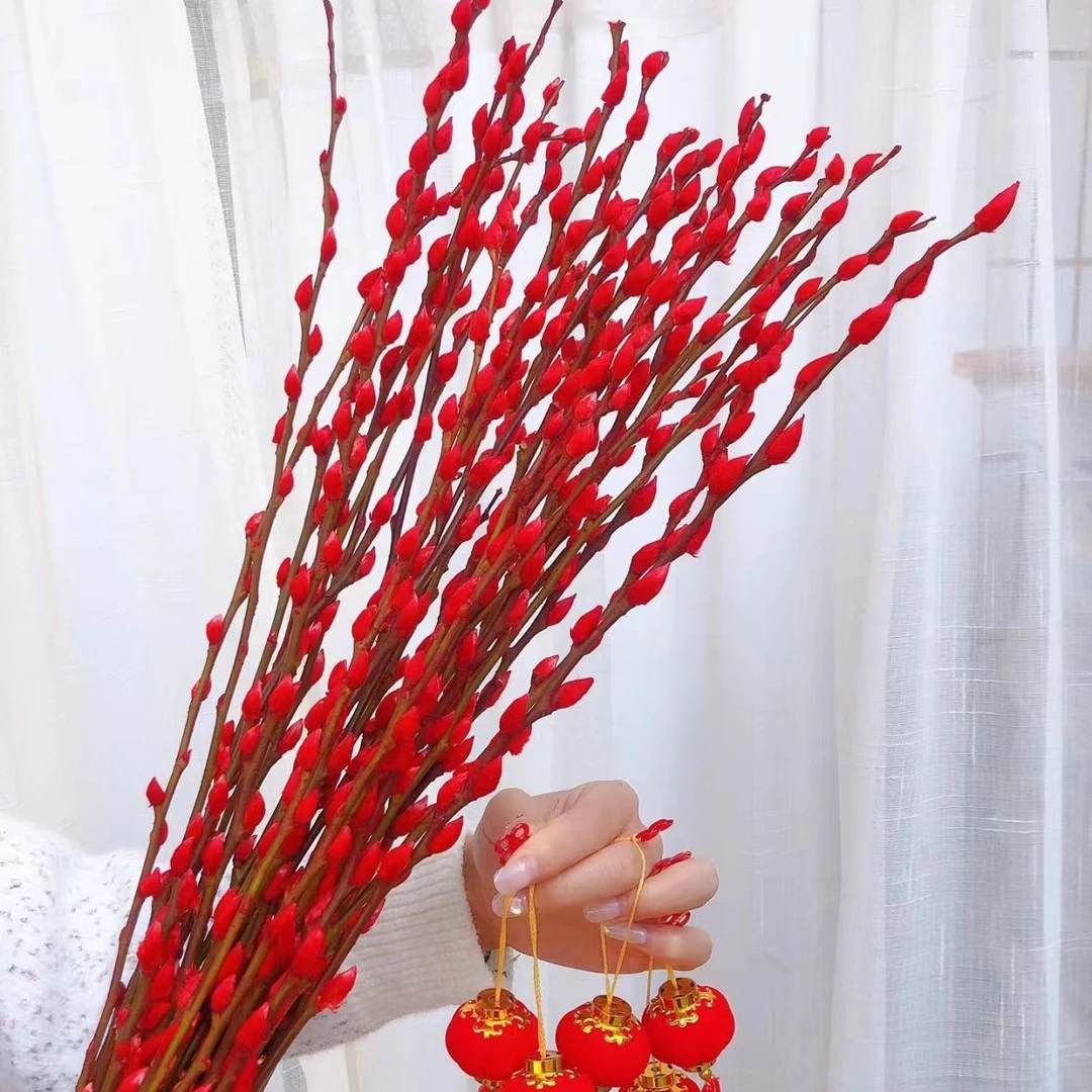 【云花舍】红色银柳花30支-年宵"银留"-年味十足银柳基地直发-真花