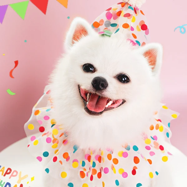 宠物波点花边围兜生日用品猫咪狗狗韩式彩色圆点项圈INS头饰批发2