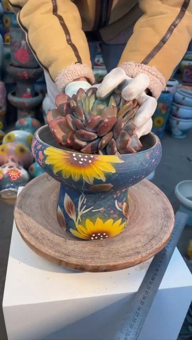 【闪购商品】瓷摆件19-13口径17高14默认微瑕