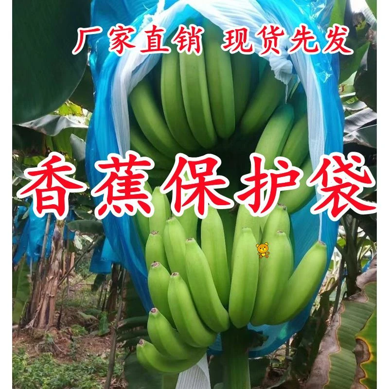 香蕉保护袋保温罩神器防虫防雨防寒防冻专用粉蕉加厚一体透气套袋