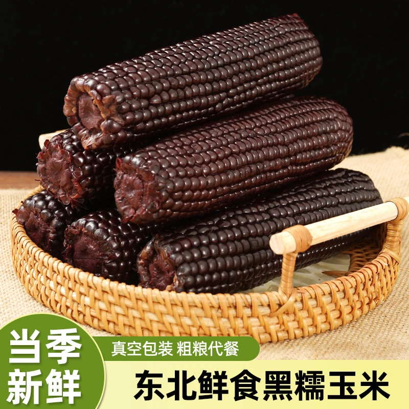 新采摘香甜低脂香糯甜糯黑玉米真空糯玉米10支240g