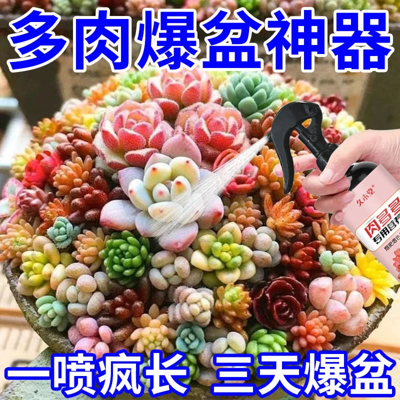 一喷疯长】多肉营养液肉多多增肥增色生根爆芽家养花液体肥料种植