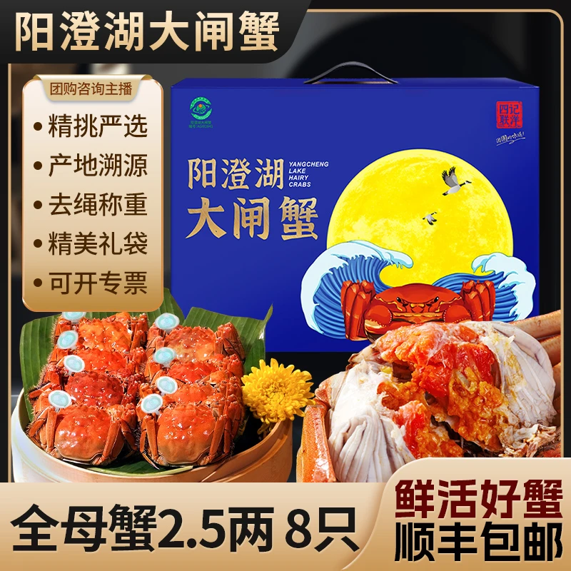 【活蟹】阳澄湖大闸蟹 全母蟹2.5两8只 四记联洋塘蟹螃蟹礼盒