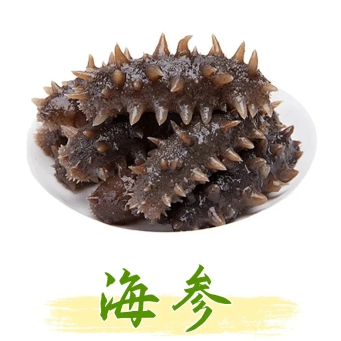 即食海参1只 规格10个头左右