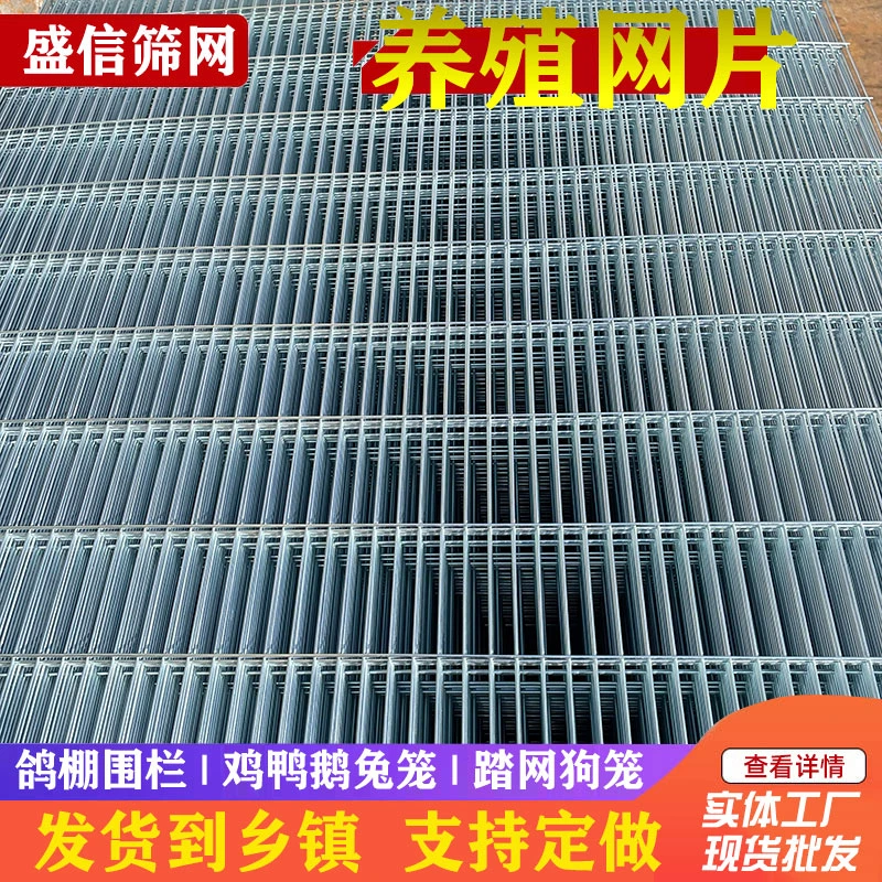 镀锌网片鸽舍地网鸡兔鸟笼电焊加粗电焊铁丝养殖底网围栏长孔钢丝