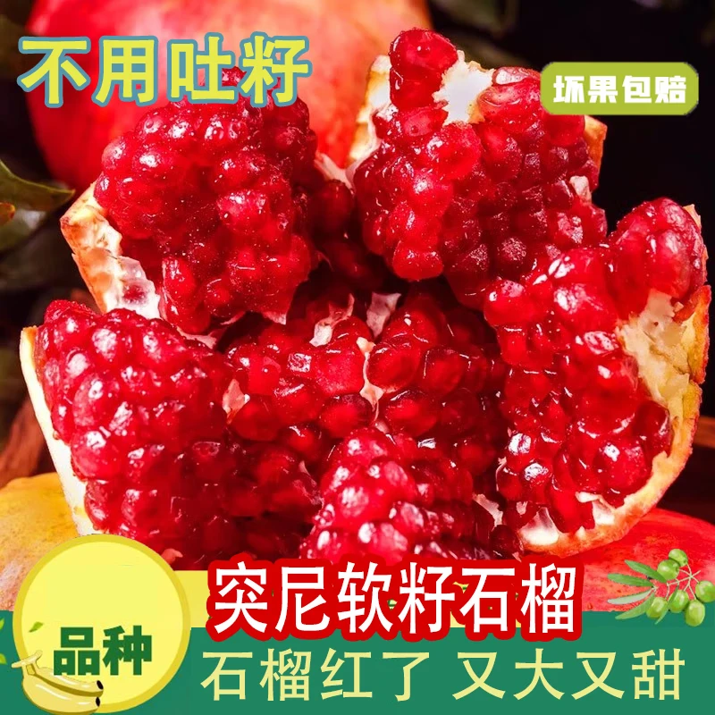 【 产地直发】新鲜采摘会理突尼斯软籽石榴带箱5斤装（9-10个）
