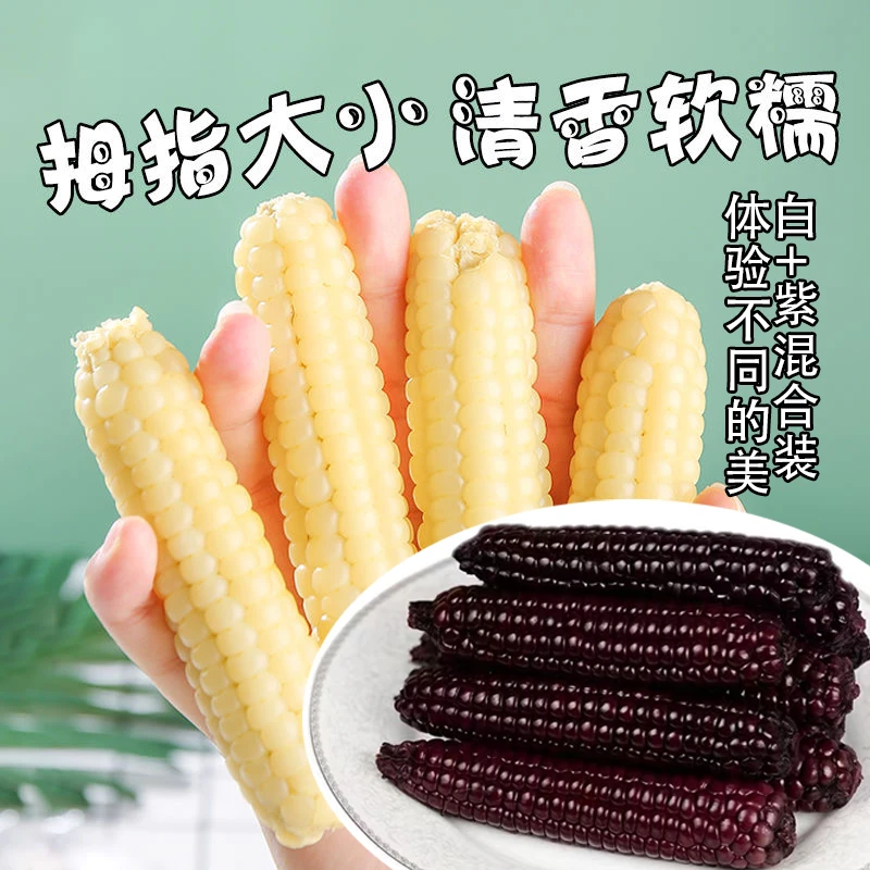傣金鋺 毫沙丽A级西双版纳拇指小玉米代餐粗粮低脂白糯紫糯混合装