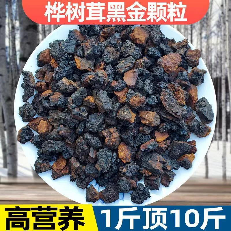 正品野生正宗优质精选桦树茸精华桦褐孔菌高浓度水营养丰富高品质