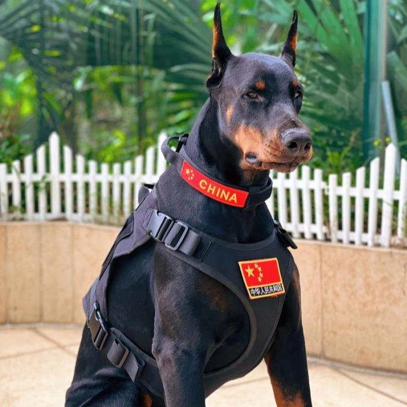 杜宾战术胸背狗狗背心衣服户外透气训练胸背带马甲东德牧牵引绳子