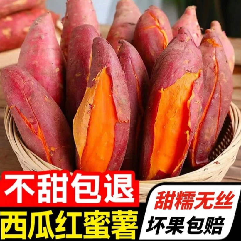 广东西瓜红薯新鲜现挖
