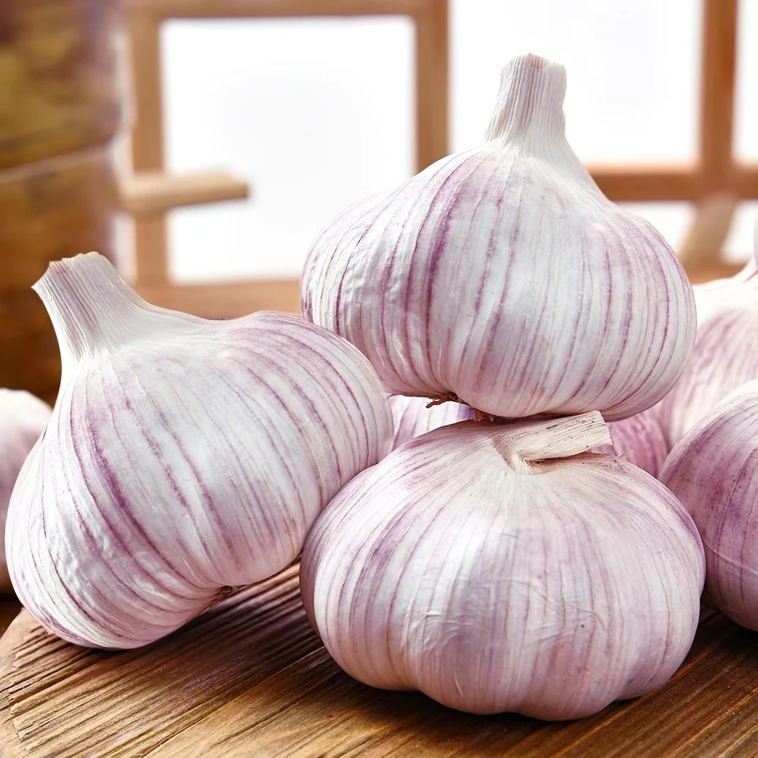 2024年新鲜紫皮干蒜做腊八蒜肉现挖现发厚饱满泡菜蒜大蒜食用