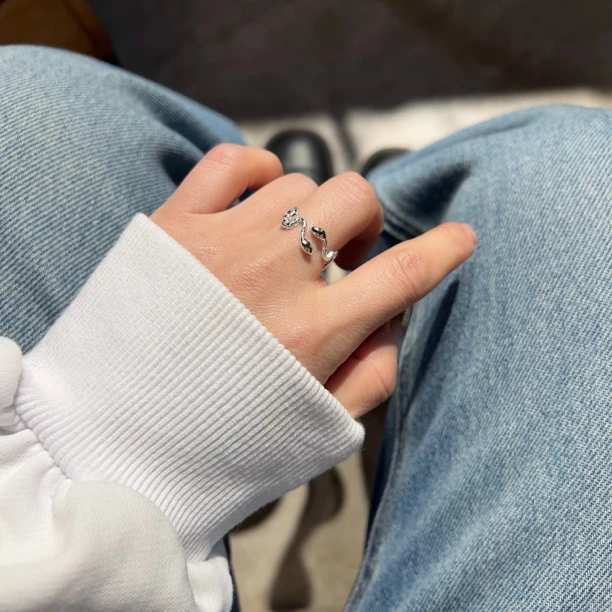 925银戒指 925银 戒指 双11 面对面的蛇戒指 有话要说