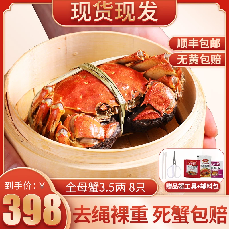 【活蟹】全母蟹3.5两共8只现货大闸蟹鲜活螃蟹礼盒装顺丰新鲜饱满