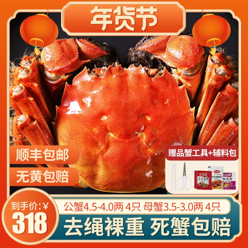 【现货现发】公蟹4两+母蟹3两8只现货大闸蟹鲜活螃蟹礼盒顺丰