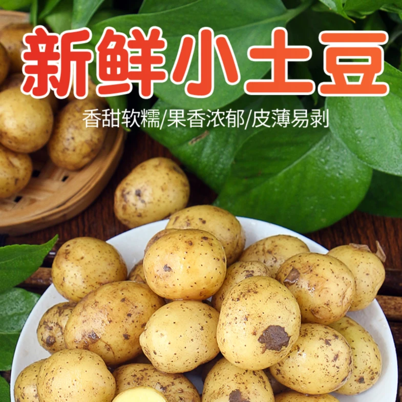 恩施小土豆5斤装
