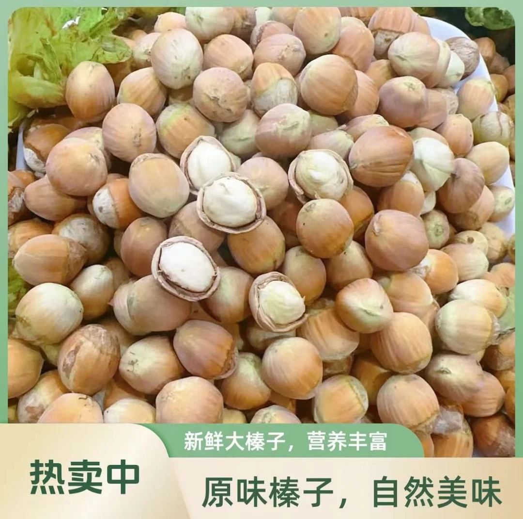 2025新鲜脱皮大榛子水瓤水仁榛子东北大榛子拍（5斤净果）包邮