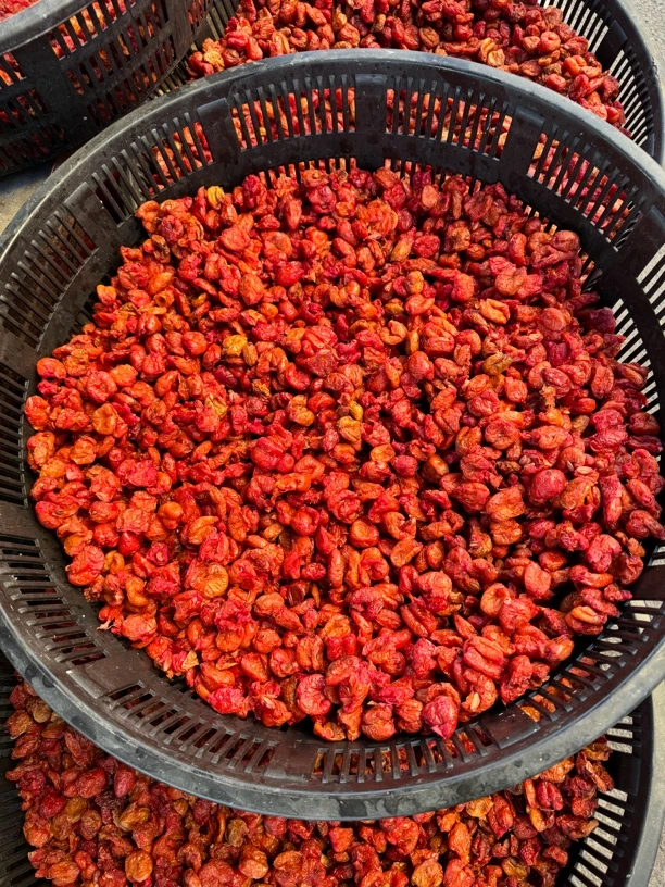 东北野生山里红干，手工去核天然晾晒冲泡酸甜水果茶饮