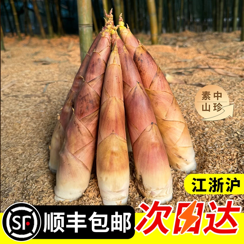 新鲜现挖临安天目春笋农家时令新鲜蔬菜大笋天目雷笋脆扣新鲜竹笋