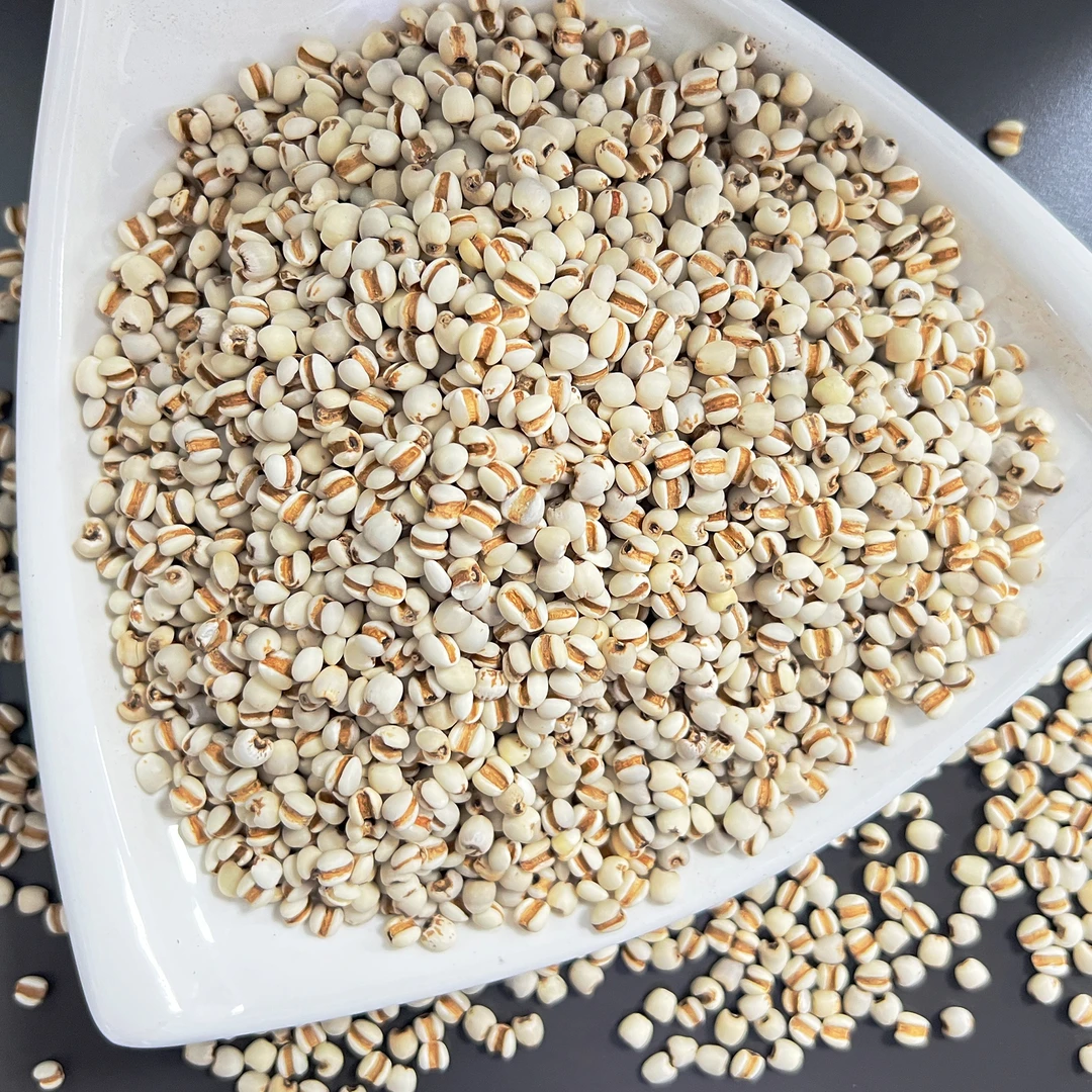 精选薏苡仁 薏米 香糯香甜