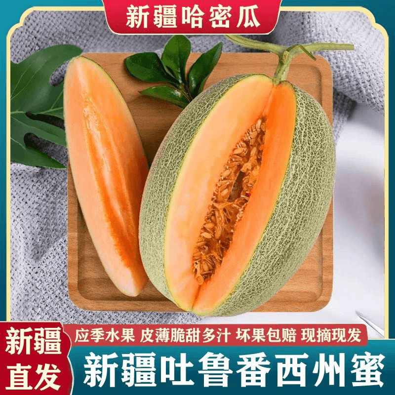 【坏果包赔 产地直发】新疆吐鲁番西州蜜25号哈密瓜现摘现发重8-9斤