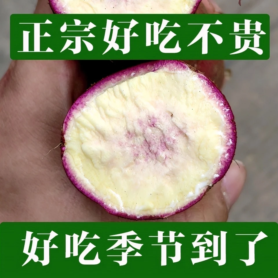 广东茂名新鲜冰淇淋番薯现挖现发一点红地瓜沙地软香薯粗粮香甜粉