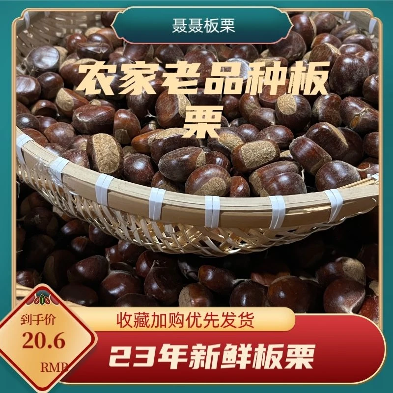 23年新鲜云南板栗老树内皮好撕油栗农家包邮高山正宗野生当季大1g