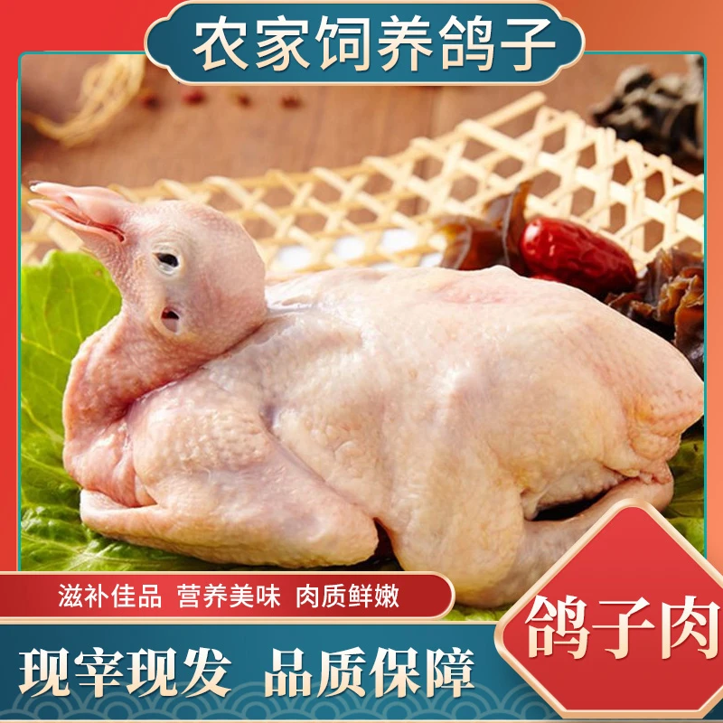 农家饲养鸽子新鲜鸽肉5斤装现宰现发