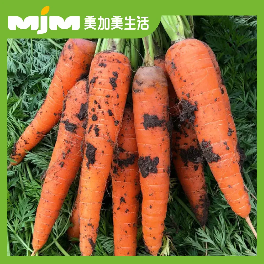 【500g±30g/份】农家胡萝卜（带泥）