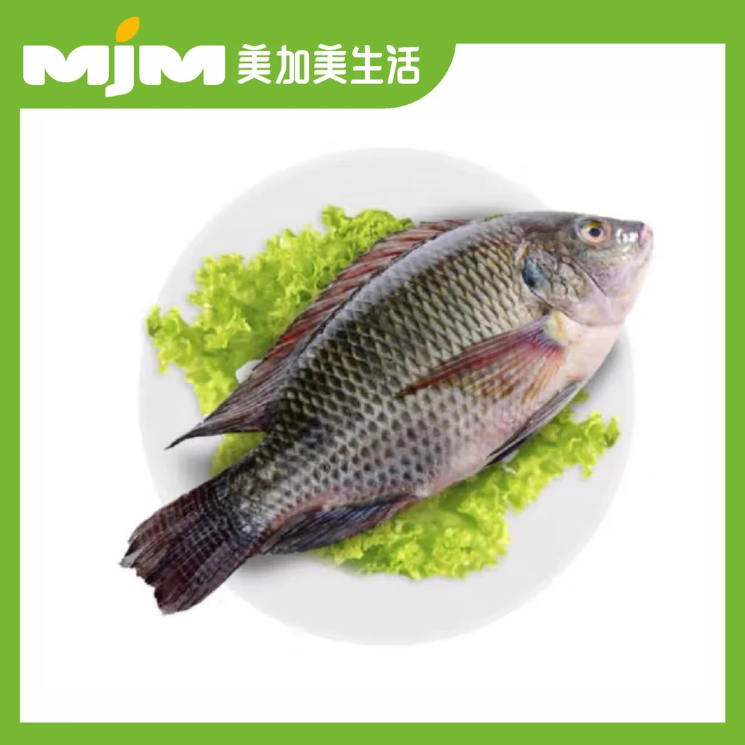 水库罗非鱼1条（杀好约0.7斤/条）