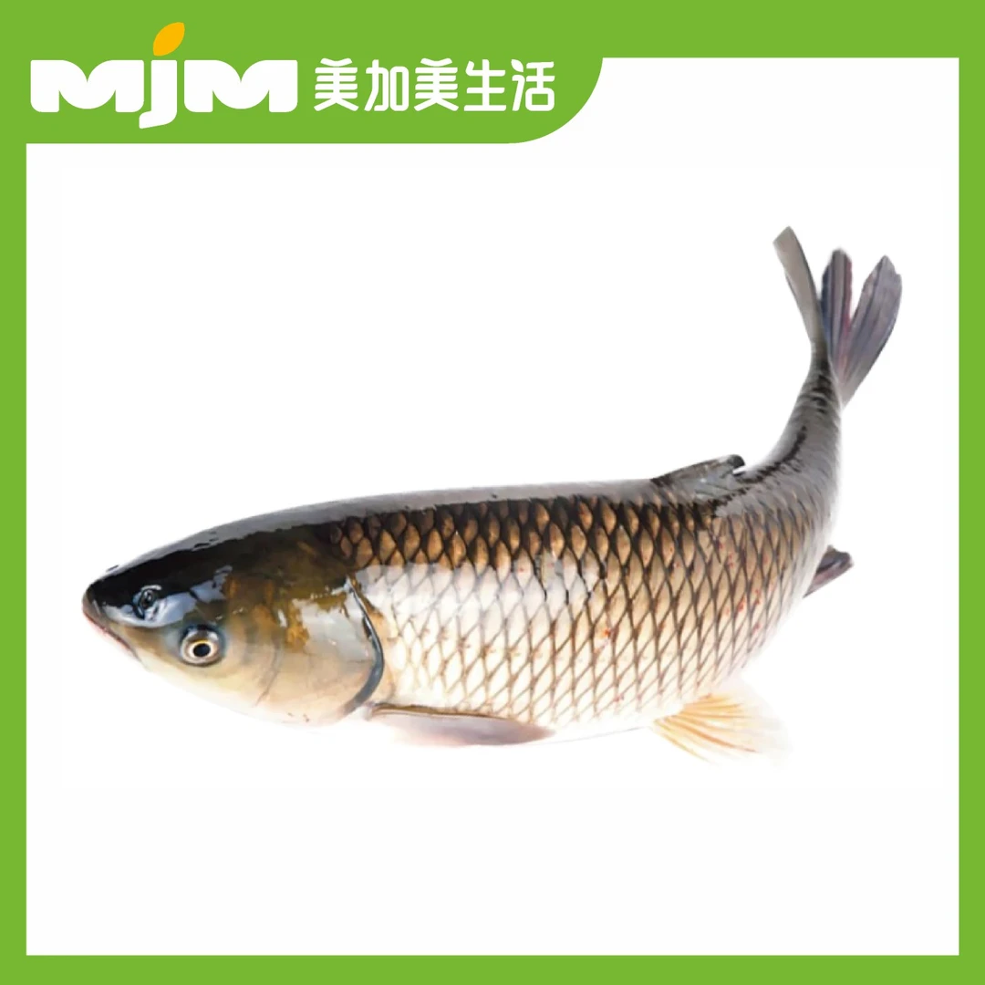 水库草鱼约750g/份（杀好鱼块）