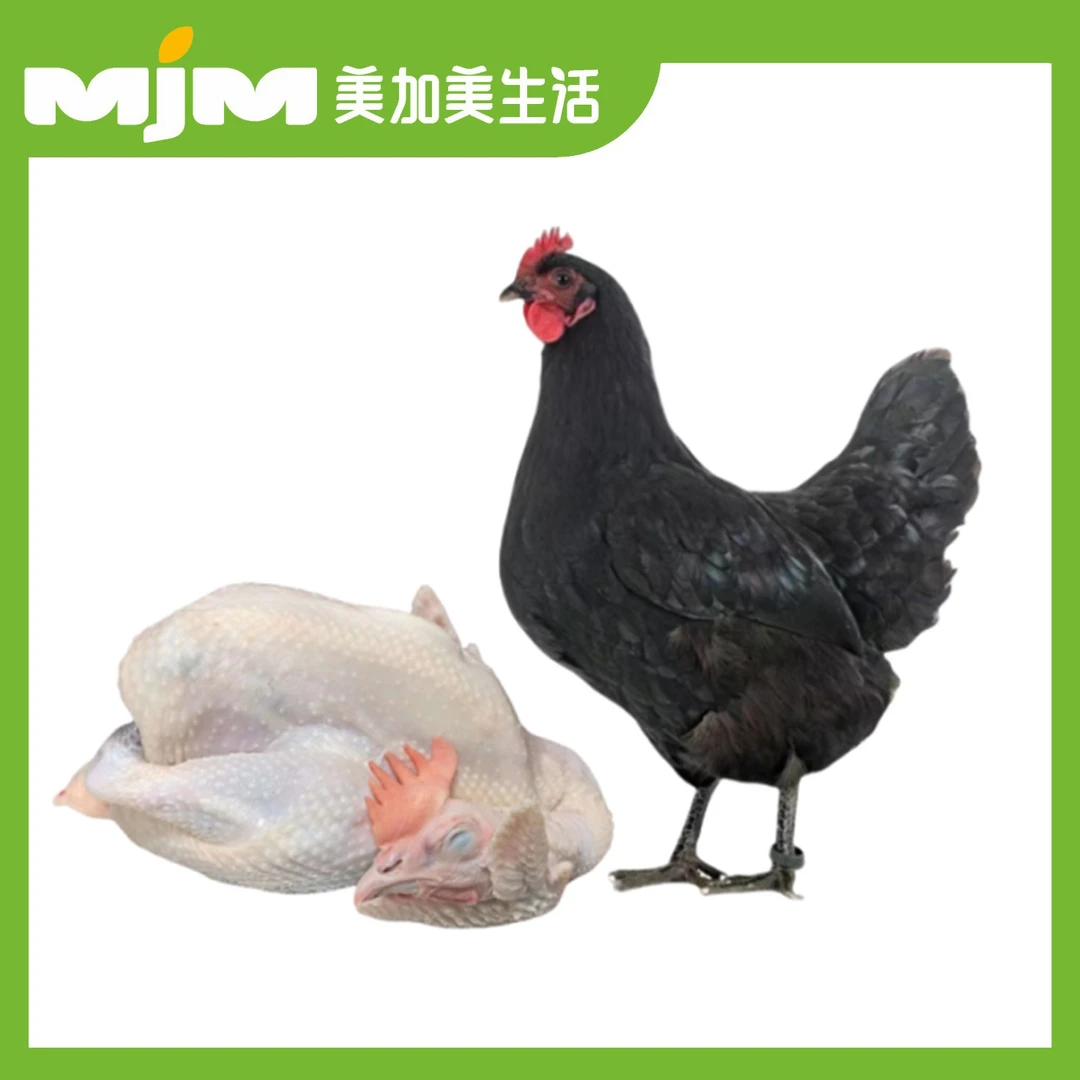 【半只】300天黑凤土鸡（杀好约0.9-1.1斤）