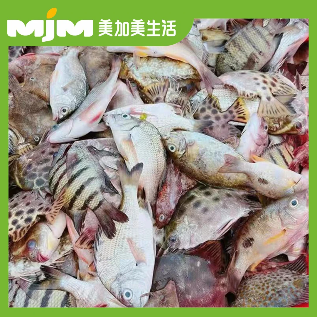 【500g/份】野生小杂鱼（随机组合不指定，不帮杀）