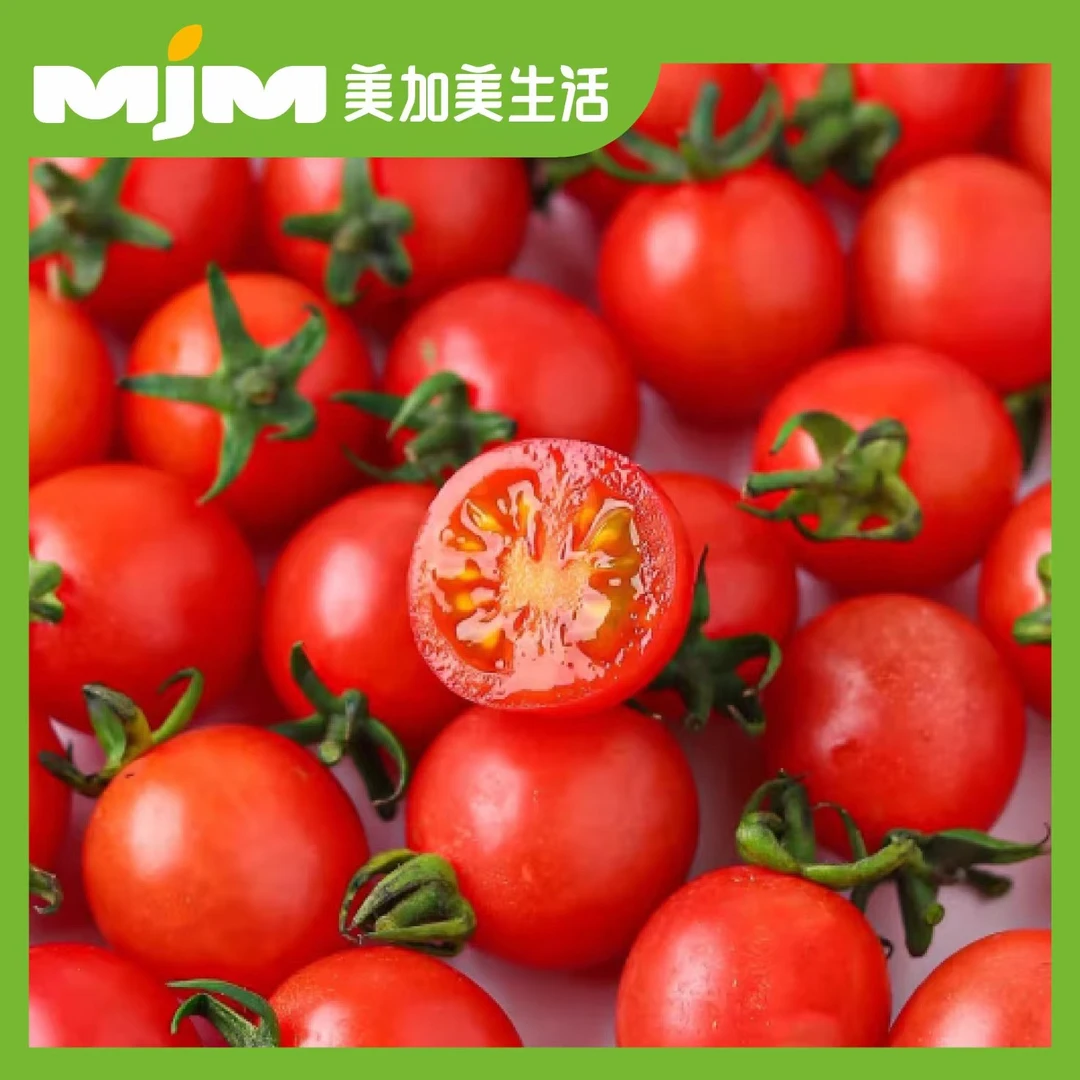 【500g±50g】串收圣女果（大果）串枝番茄广西壮族自治区
