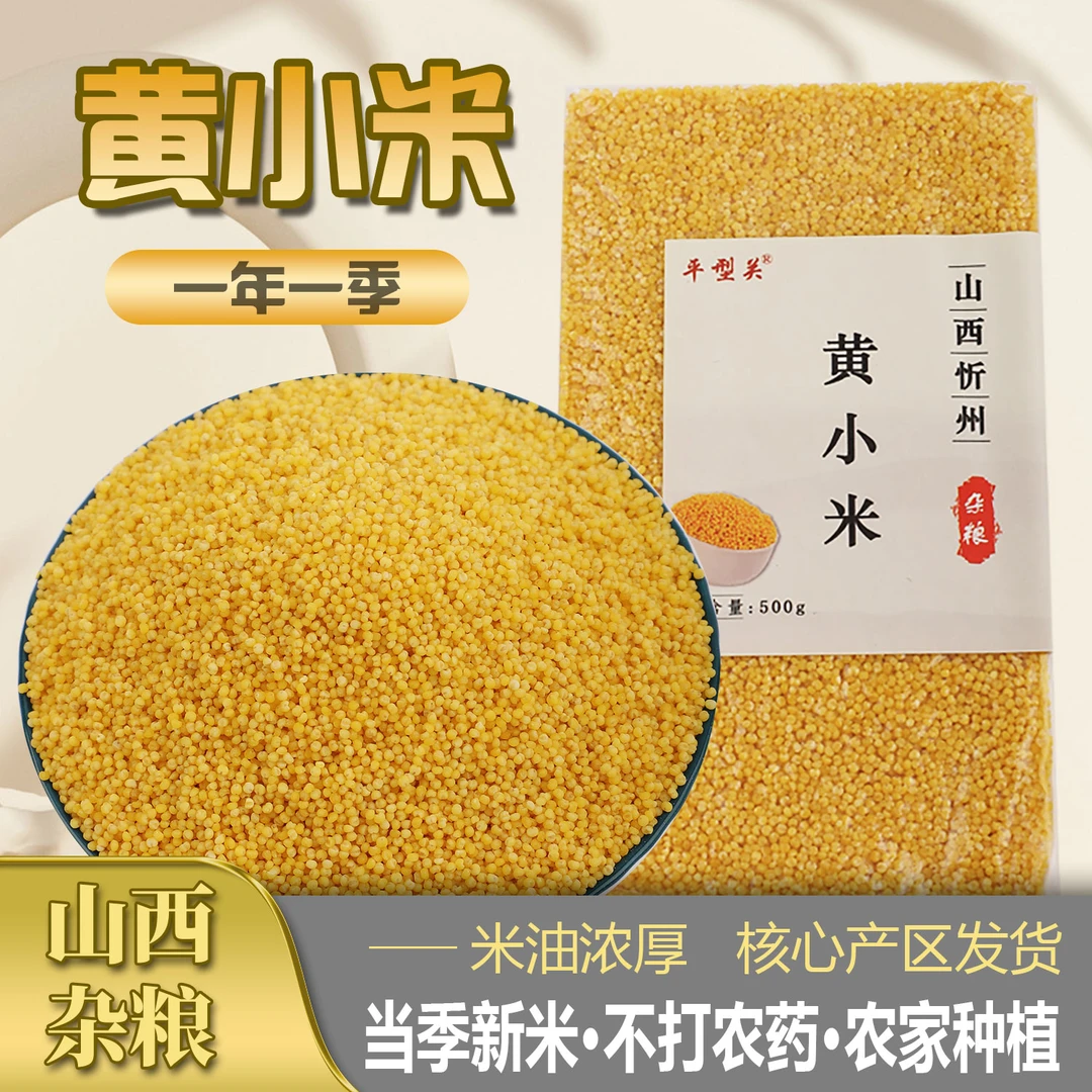 平型关山西杂粮晋谷21黄小米健康新鲜膳食沁州黄小米500g真空包装