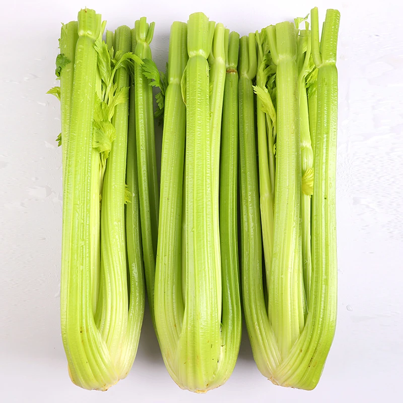 出口级西芹 新鲜大芹菜 脆嫩爽口 榨汁轻食伴侣 现采现发4.5斤装