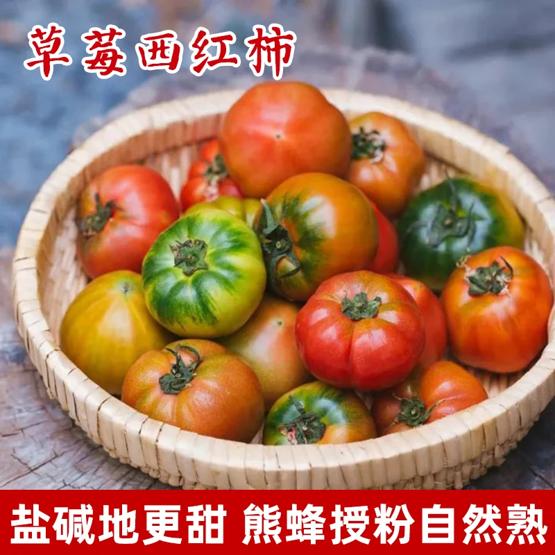 寿光新鲜草莓西红柿酸甜番茄3斤/4.5斤沙瓤自然熟坏果包赔