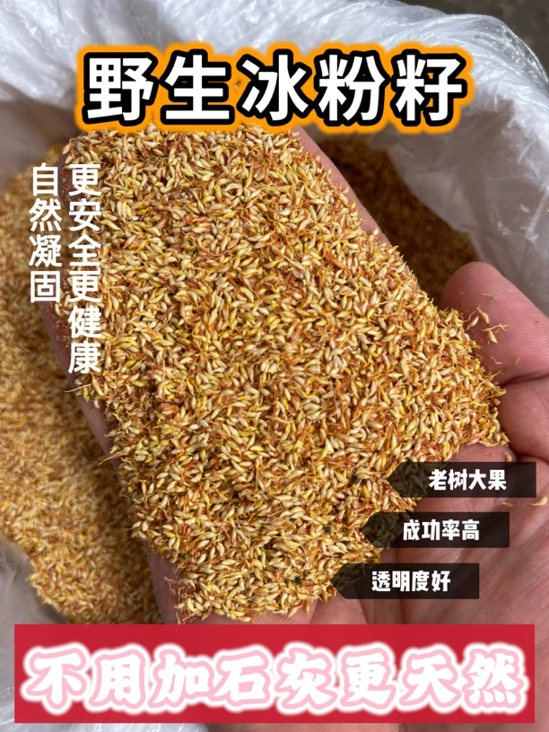 野生批发冰粉籽野生木瓜子薜荔籽爱玉籽老树凉粉籽木莲子凉斋巴