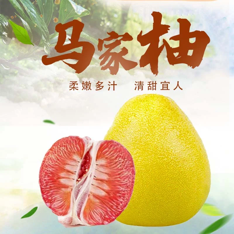 马家柚【品鉴专链】基地直采产地直发