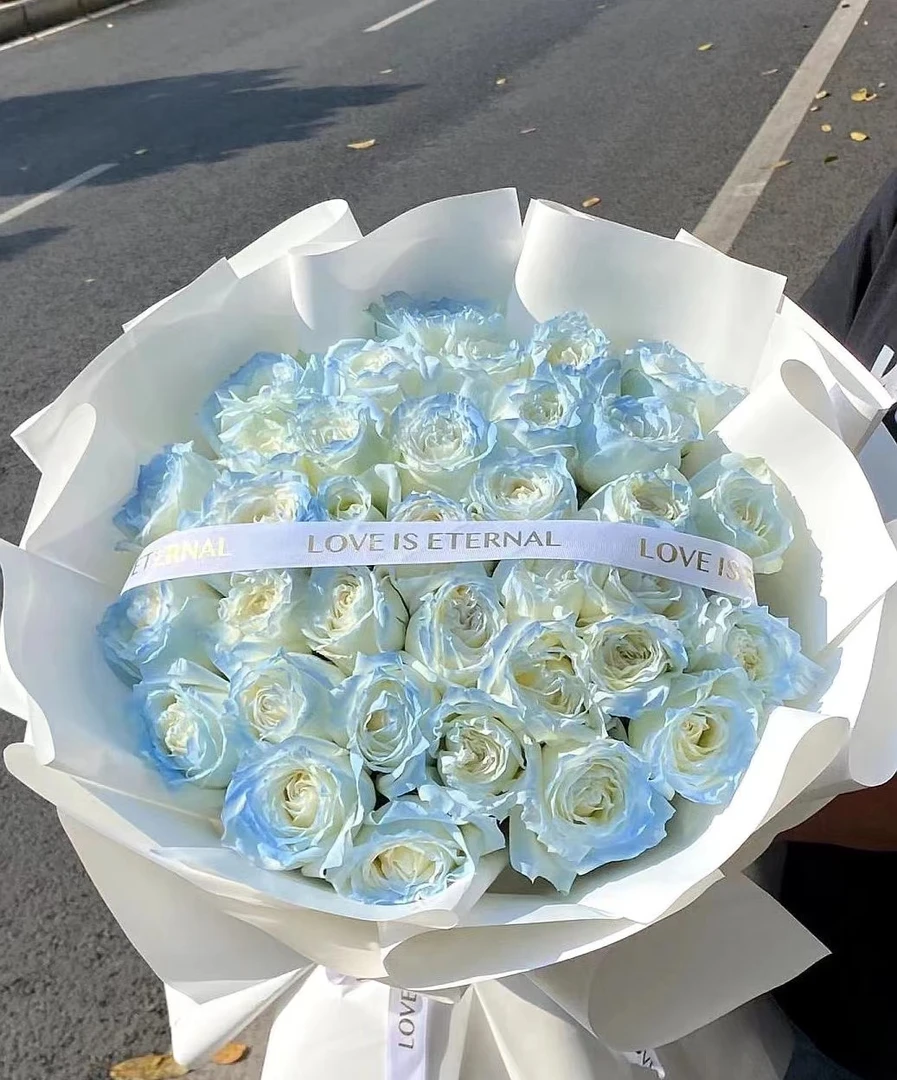 【我爱种花】 20枝碎冰蓝（喷色）单头玫瑰 云南鲜花基地