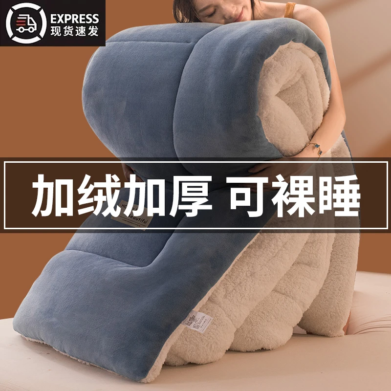 加厚保暖羊羔绒被子被芯雪花绒冬被加绒棉被褥学生单人宿舍春秋被